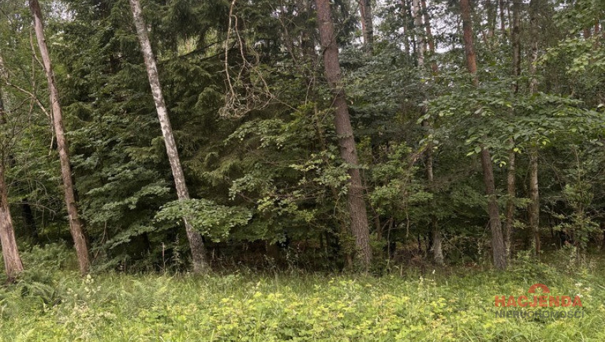 Działka Sprzedaż Piaseczno
