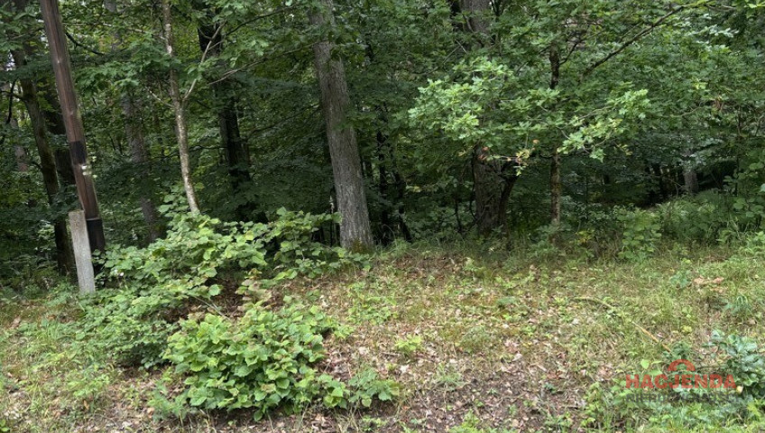 Działka Sprzedaż Piaseczno