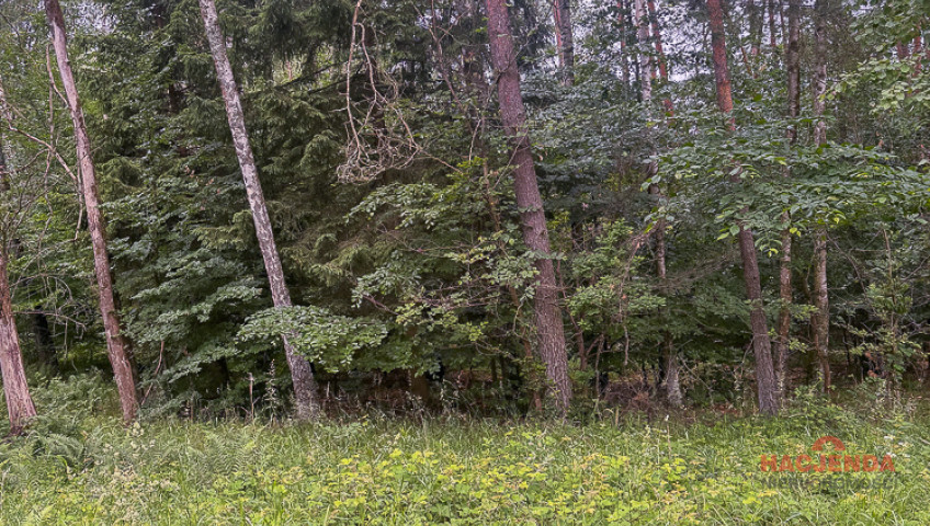 Działka Sprzedaż Piaseczno
