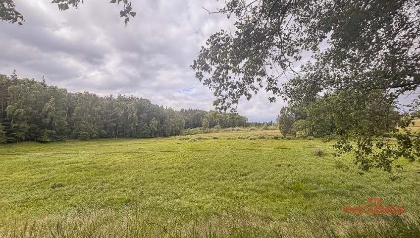 Działka Sprzedaż Piaseczno