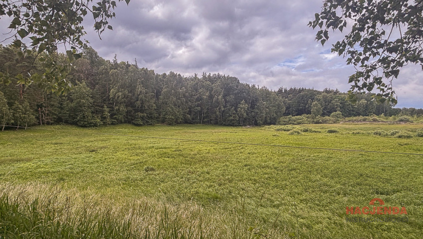 Działka Sprzedaż Piaseczno