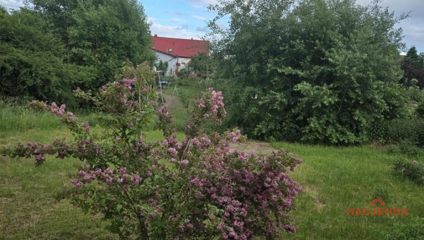 Dom Sprzedaż Przęsocin Lazurowa