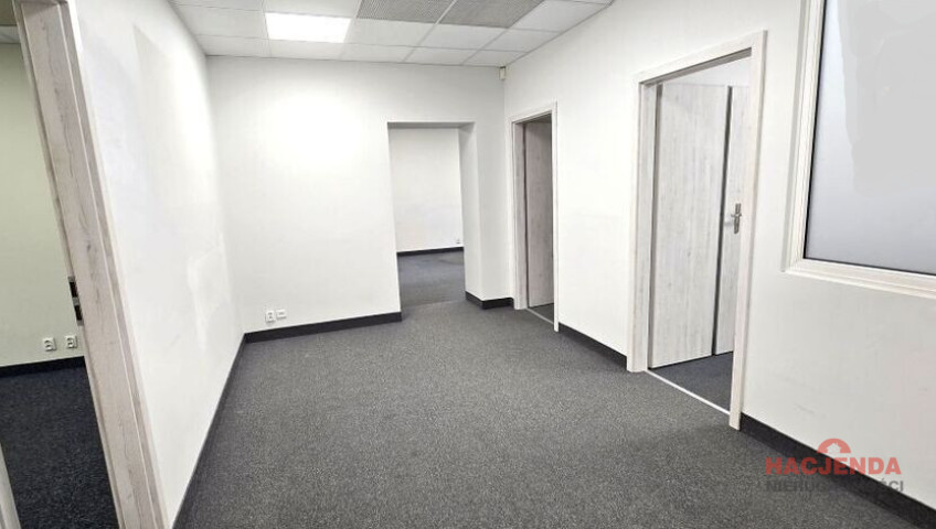 Lokal Wynajem Szczecin Śródmieście-Centrum
