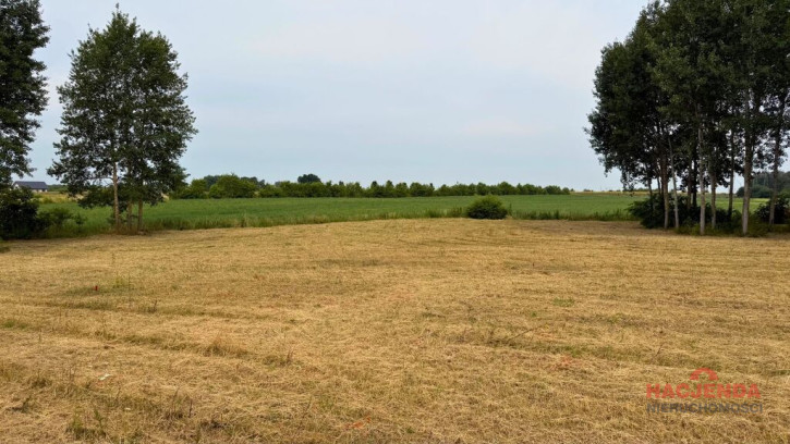 Działka Sprzedaż Marszewo 5
