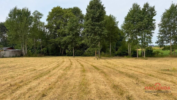 Działka Sprzedaż Marszewo 4
