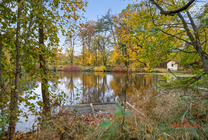 Mieszkanie Sprzedaż Miłogoszcz 7