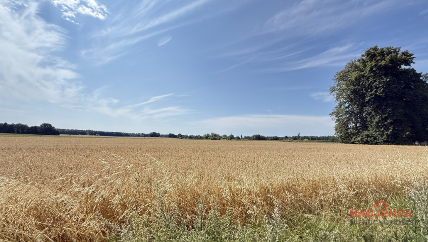 Działka Sprzedaż Oświno