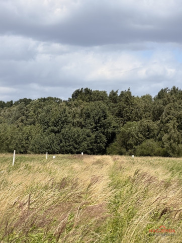 Działka Sprzedaż Niedźwiedź 5