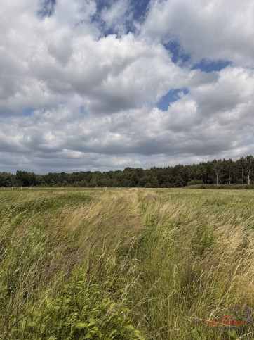Działka Sprzedaż Niedźwiedź 6