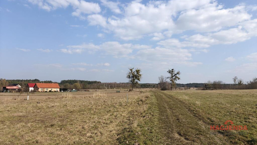 Działka Sprzedaż Żarnowo