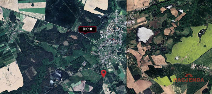 Działka Sprzedaż Recz Leśna 2