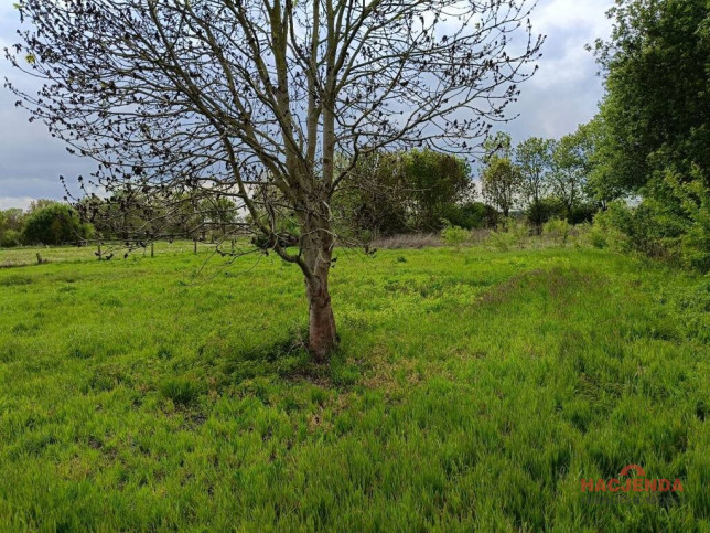 Działka Sprzedaż Rurzyca 3