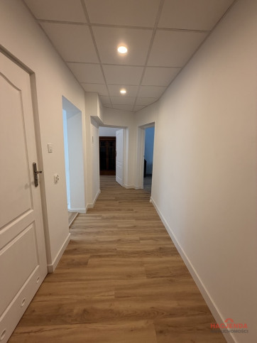 Lokal Wynajem Szczecin Śródmieście-Centrum 11