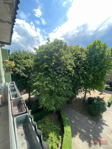 Mieszkanie Wynajem Szczecin Centrum Jana i Jędrzeja Śniadeckich 14