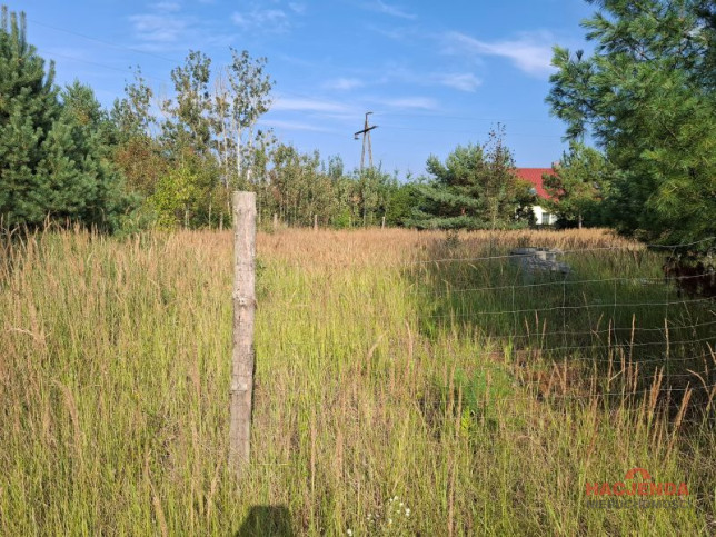 Działka Sprzedaż Łęgi 1