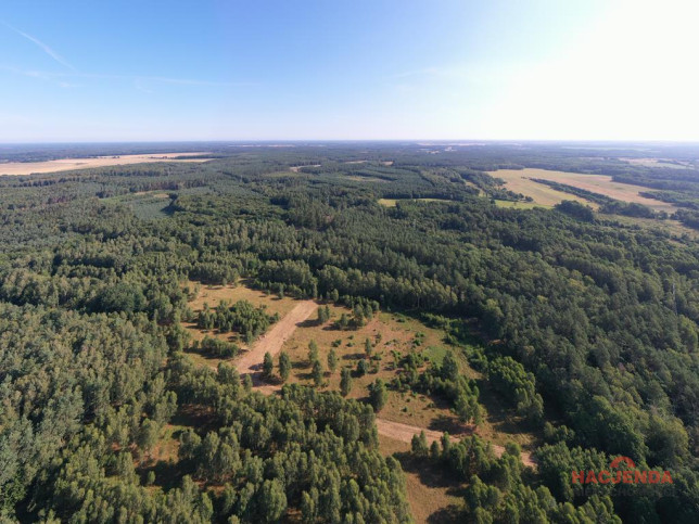 Działka Sprzedaż Osina 1