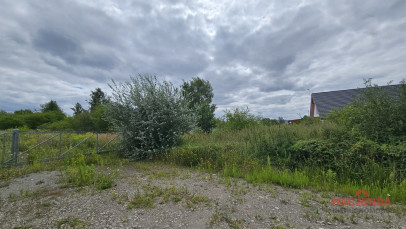 Działka Sprzedaż Dołuje