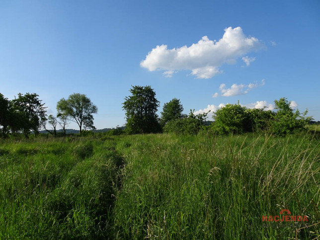 Działka Sprzedaż Binowo 3