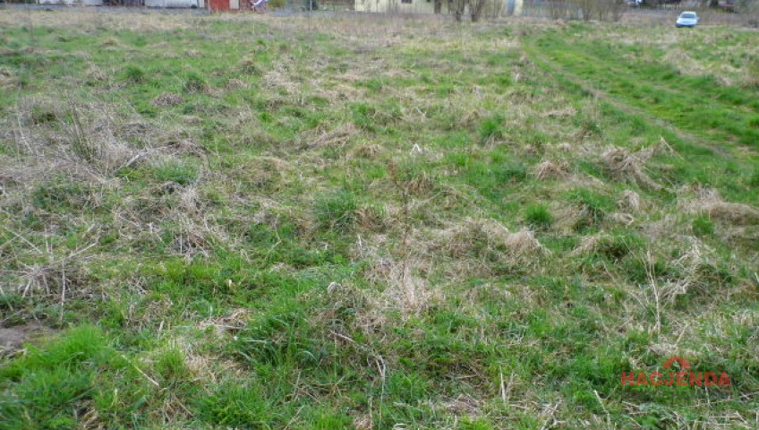 Działka Sprzedaż Brzózki