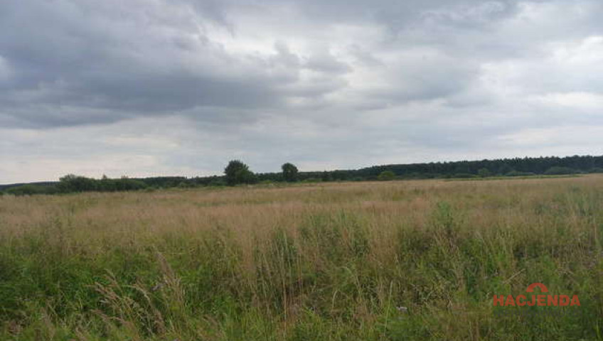 Działka Sprzedaż Dobra