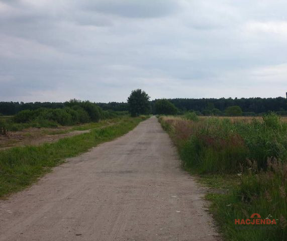 Działka Sprzedaż Dobra 1