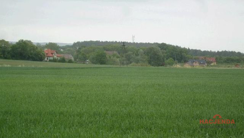 Działka Sprzedaż Siadło Górne