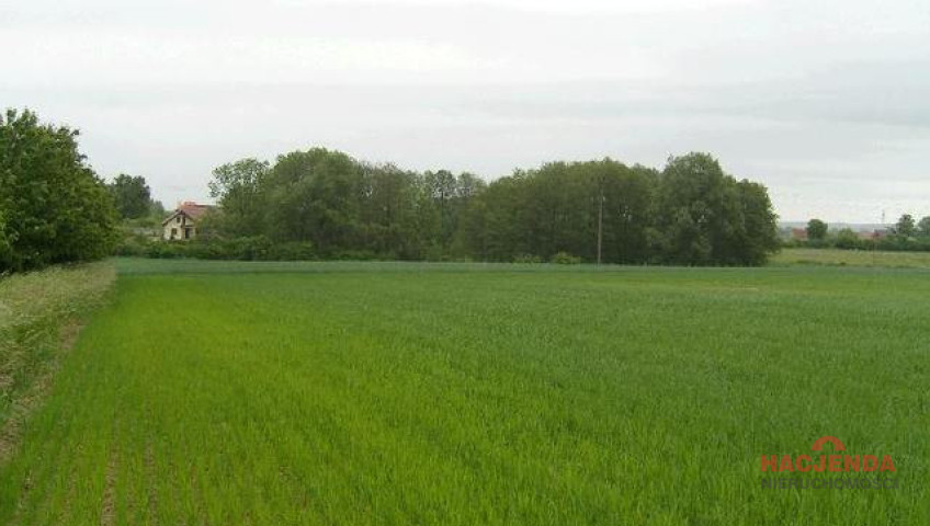 Działka Sprzedaż Siadło Górne