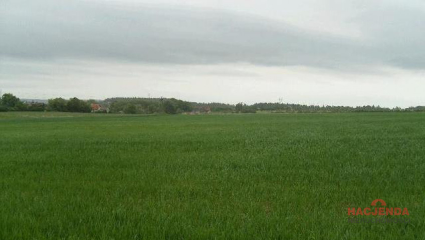 Działka Sprzedaż Siadło Górne