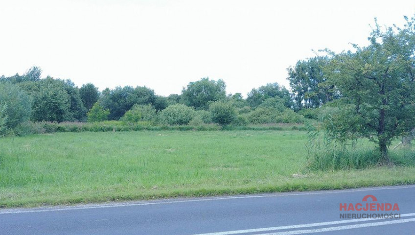Działka Sprzedaż Trzebież