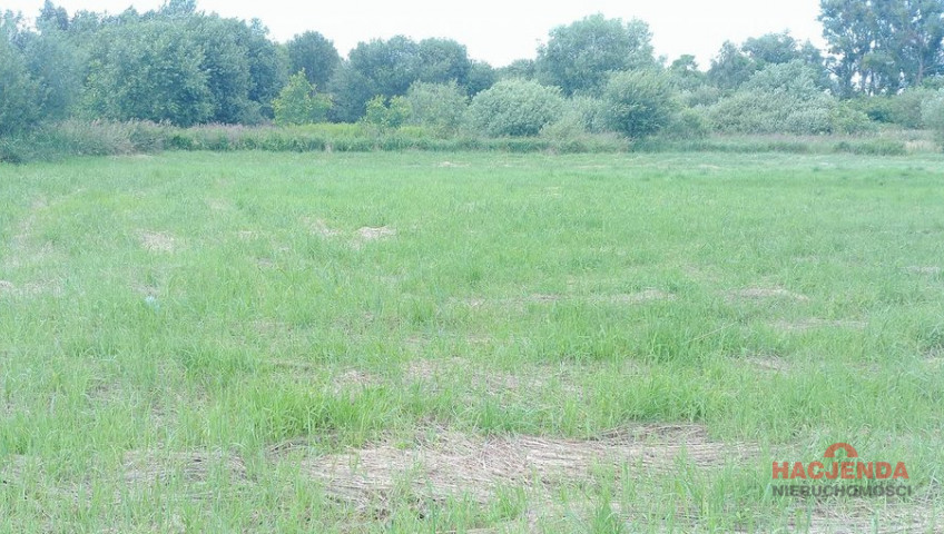 Działka Sprzedaż Trzebież