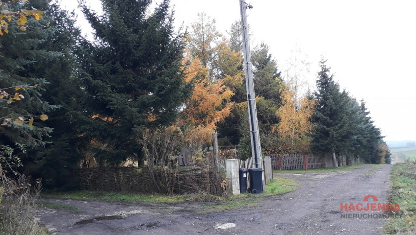 Działka Sprzedaż Danowo