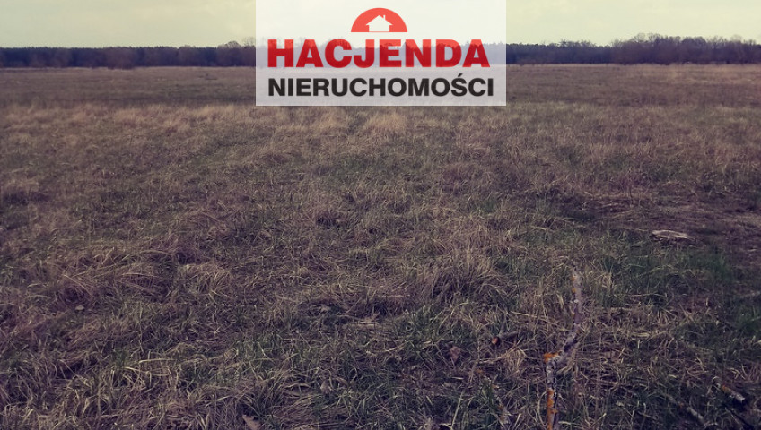 Działka Sprzedaż Łęgi