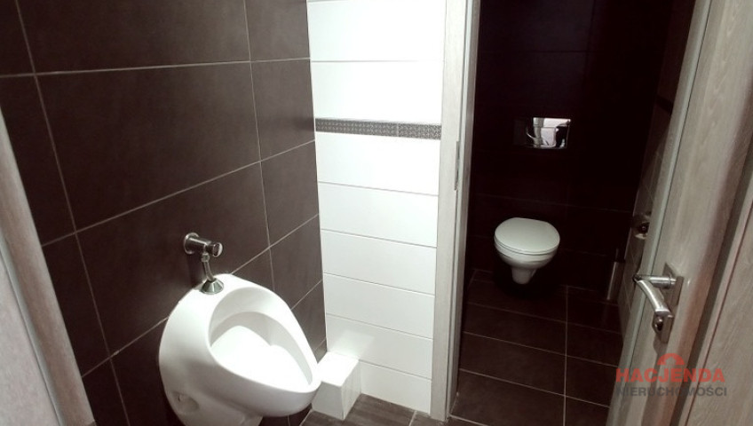Lokal Wynajem Szczecin Centrum