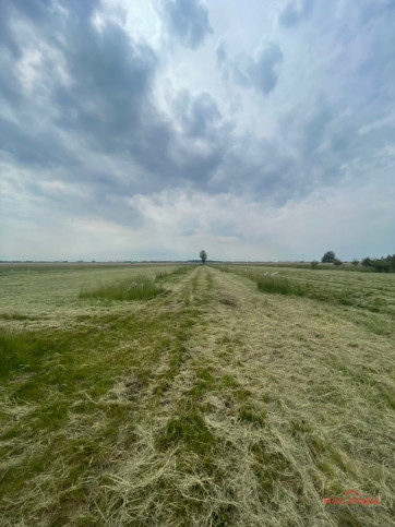Działka Sprzedaż Wierzbno 10