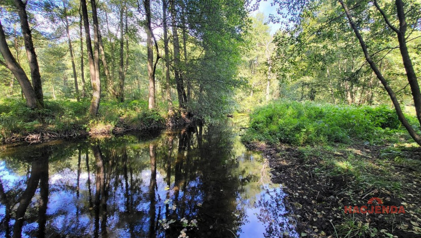 Działka Sprzedaż Staw
