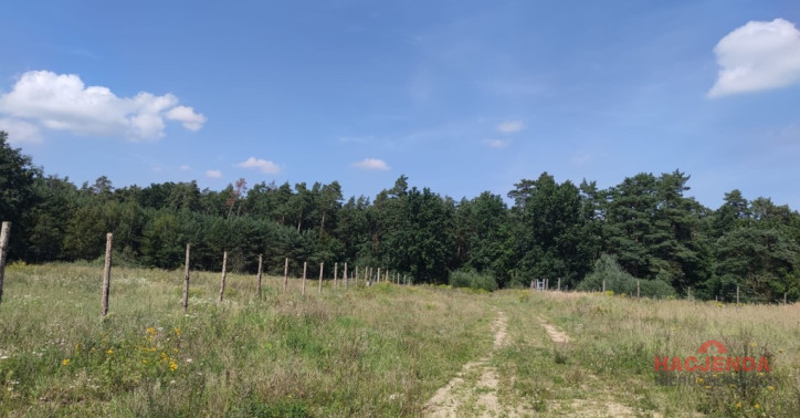 Działka Sprzedaż Kościno 4