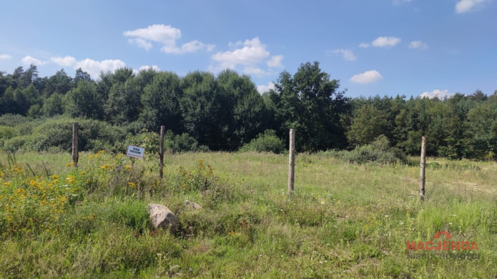 Działka Sprzedaż Kościno 5