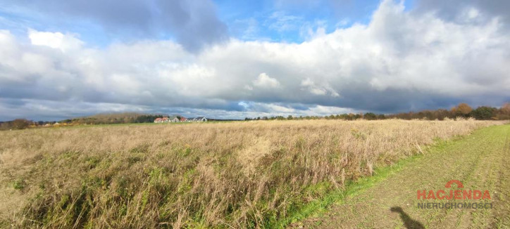 Działka Sprzedaż Goleniów 7