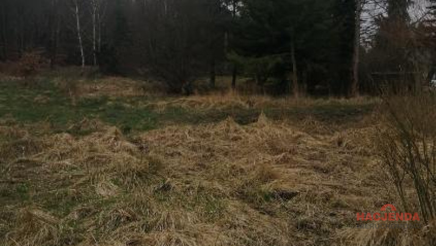 Działka Sprzedaż Stawno