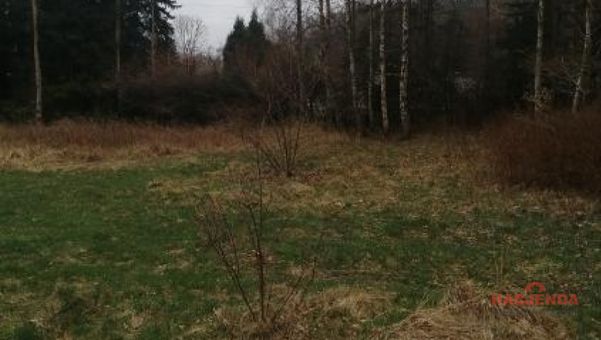Działka Sprzedaż Stawno