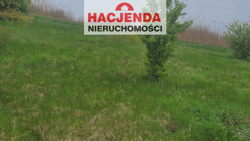 Działka Sprzedaż Zieleniewo