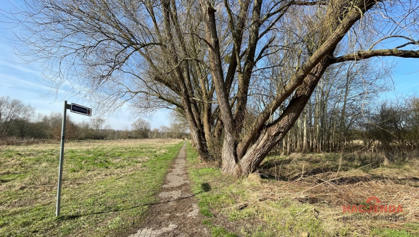Działka Sprzedaż Trzebież