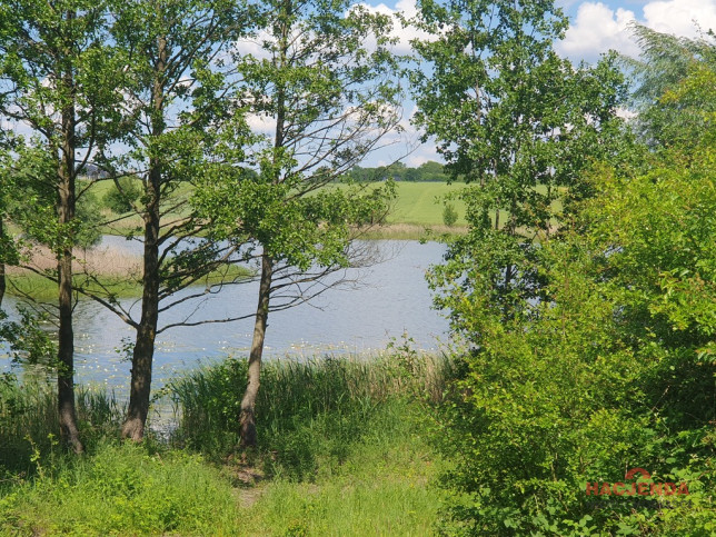 Działka Sprzedaż Zieleniewo 4