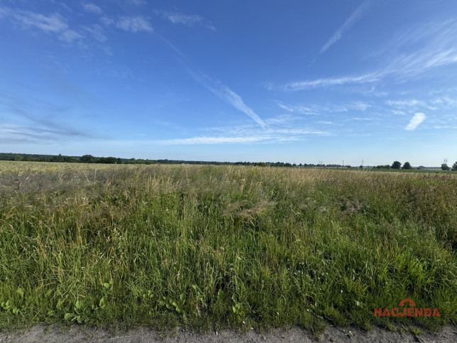 Działka Sprzedaż Goleniów 3